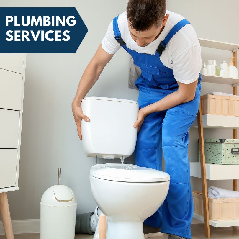 Plumbing Company in Trivoli, IL